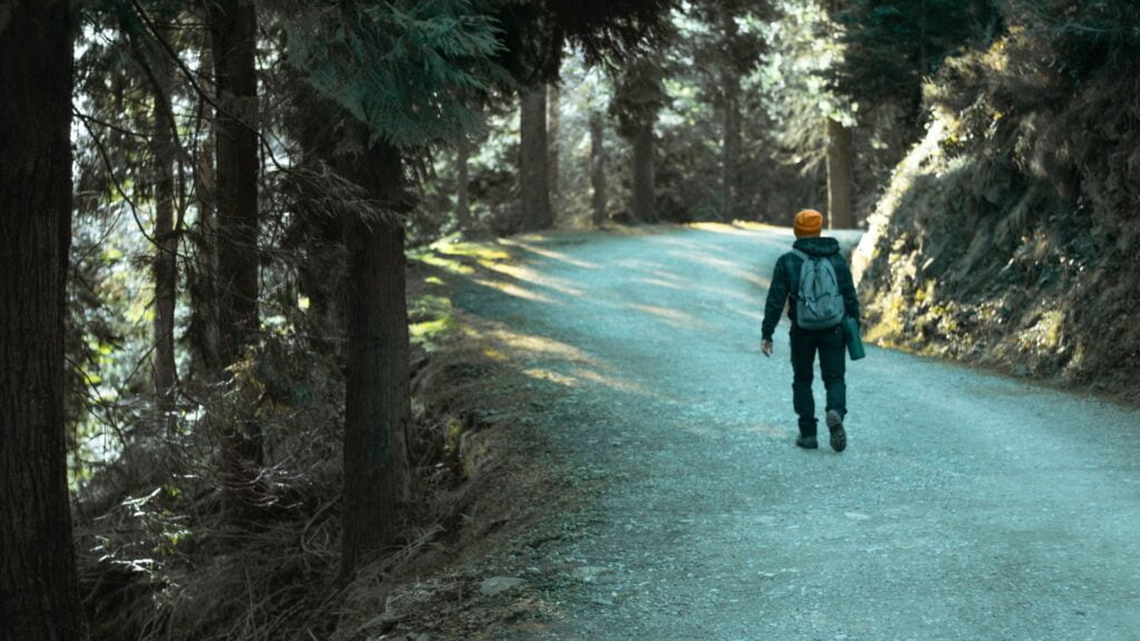 Abenteuer im Wald