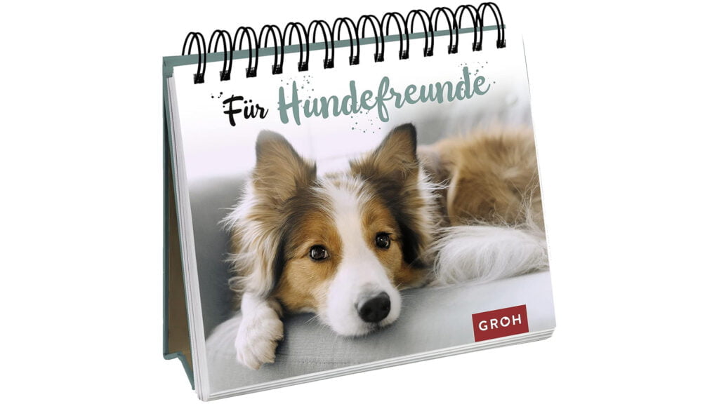 50 Weihnachtsgeschenkideen unter 50€ 51 Tierliebhaber Geschenk
