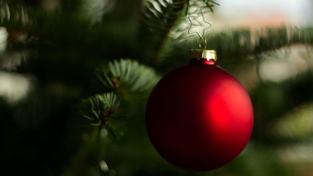 Weihnachtsgeschenkideen