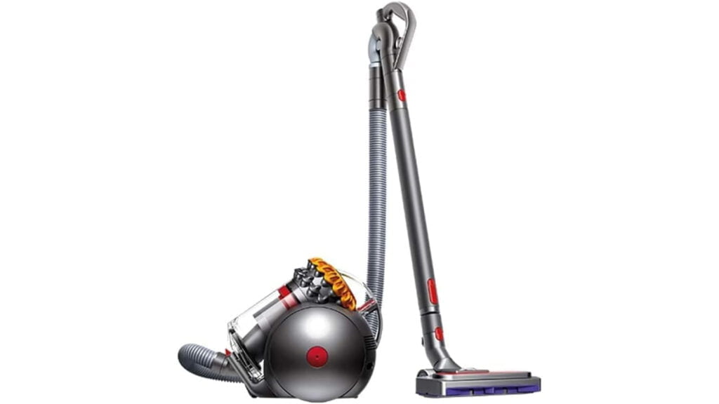 Dyson Big Ball Allergy 2
