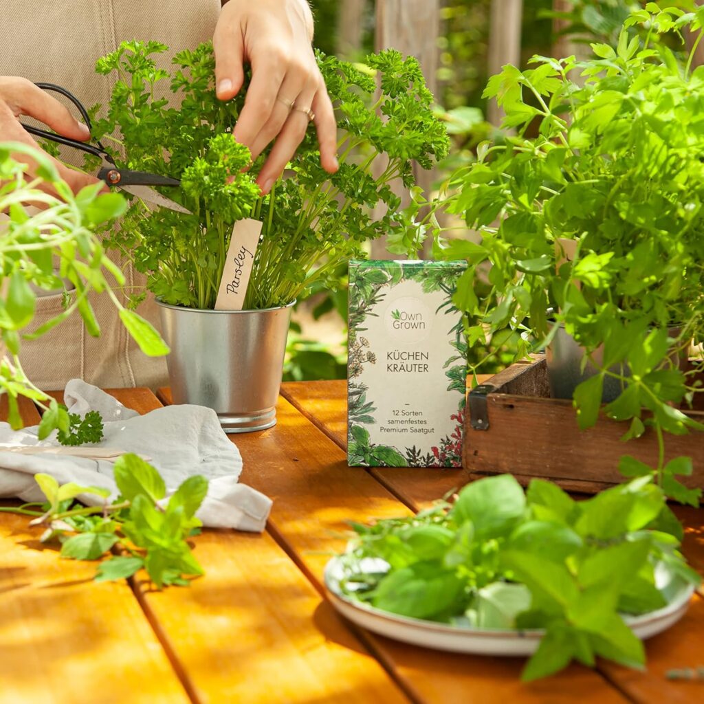 91u0lyzyrHL. AC SL1500